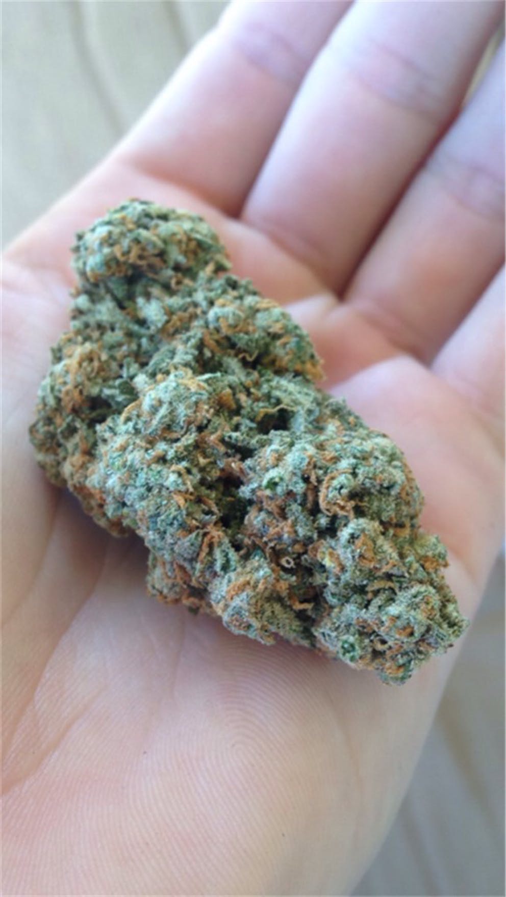 %Reliable Cannabis Blogs And Information %Cannabis Shop Online