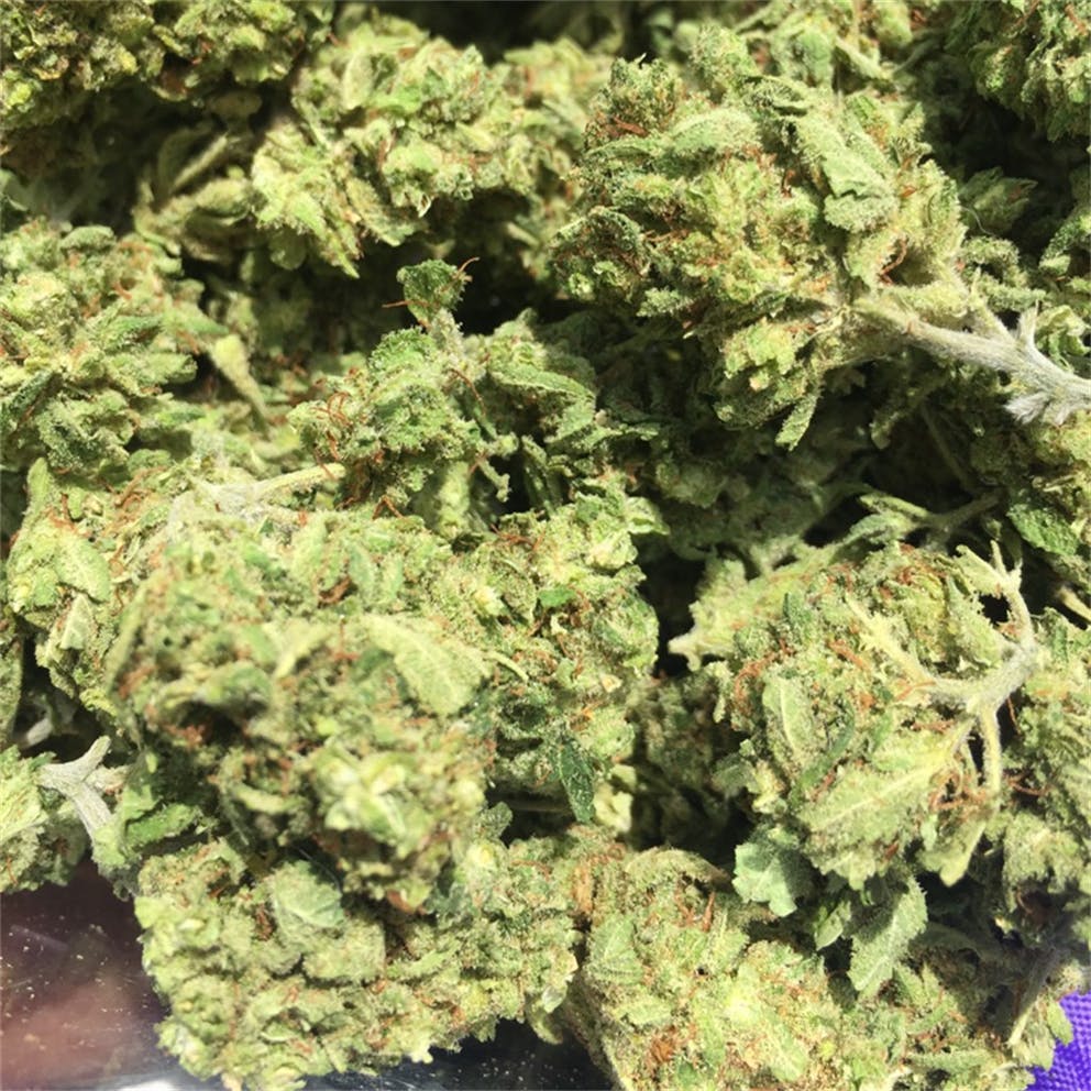 %Reliable Cannabis Blogs And Information %Cannabis Shop Online