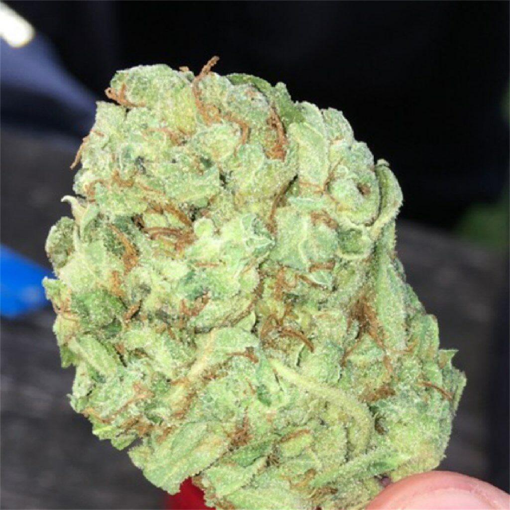 %Reliable Cannabis Blogs And Information %Cannabis Shop Online