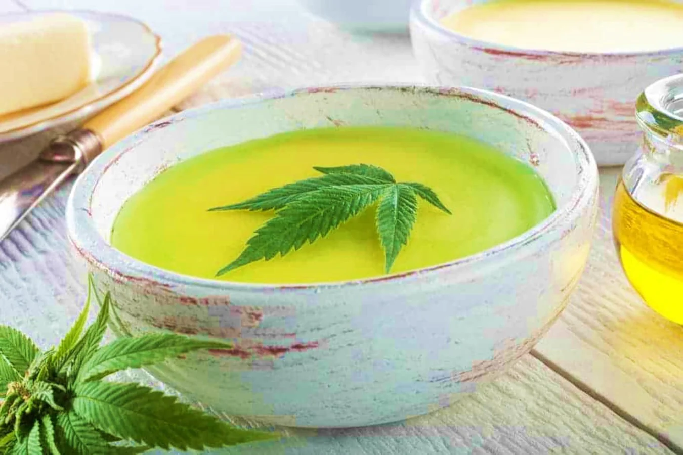 %Reliable Cannabis Blogs And Information %Cannabis Shop Online